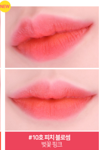 PASSIONCAT Twist Velvet Tint 11 Color Long Lasting Waterproof Liptint K-Beauty