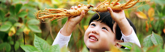 The Power of Korean Red Ginseng: Nature’s Secret for Energy and Immunity