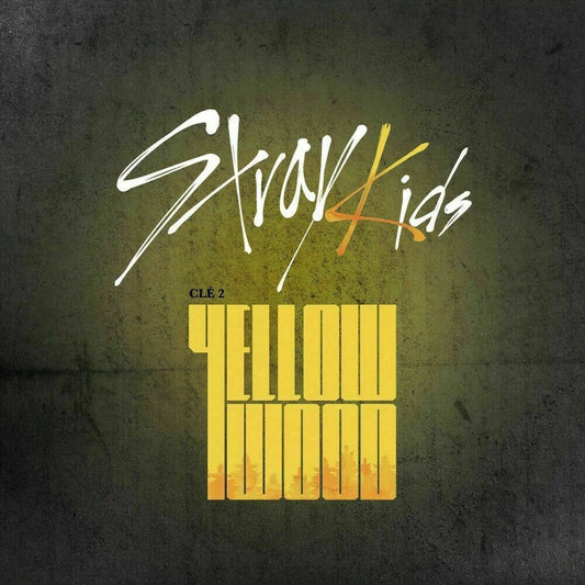 	 STRAY KIDS