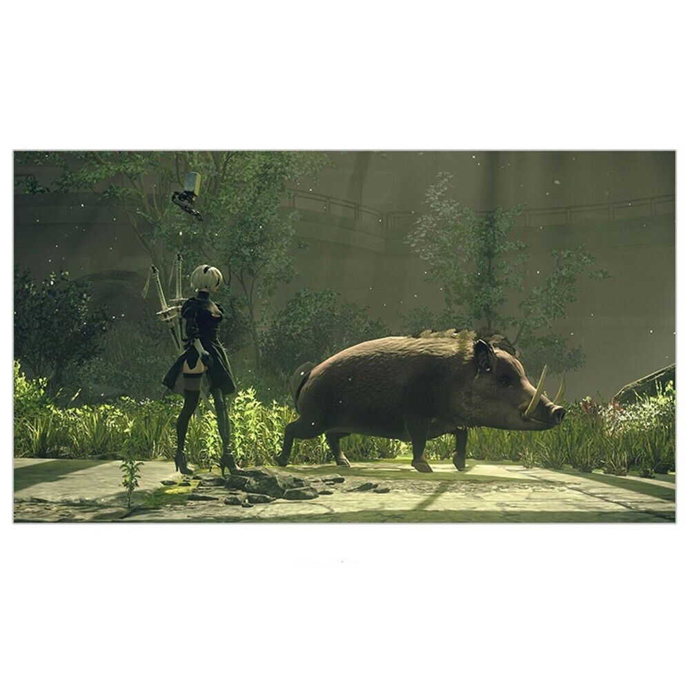 NieR Automata The End of YoRHa Edition